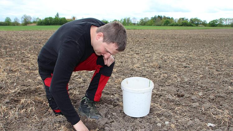 Landwirt Johannes Funke &uuml;berpr&uuml;ft die Erde seiner Bl&uuml;hfl&auml;che. Mirjam Stumpf