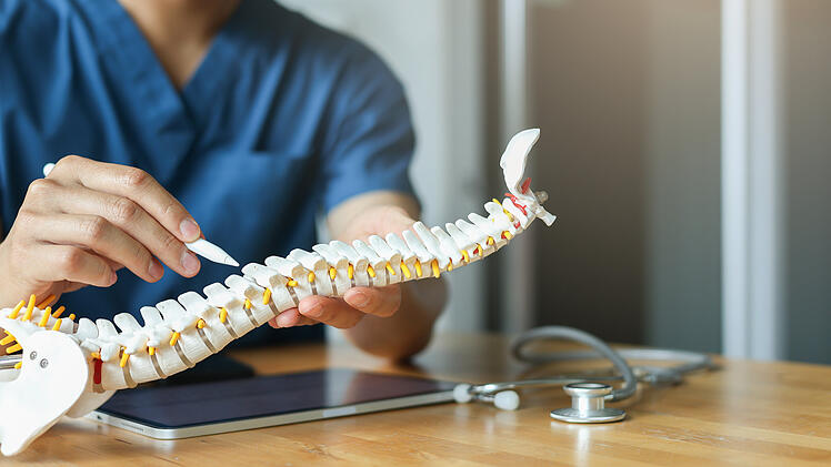 close up specialist chiropractor man touch on back on spine anatomy and diagnose about symptom and treatment step by hospital program for health care lifestyle people concept