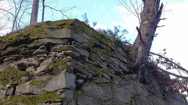Am Eingang zum stillgelegten "Kellerbruch", in dem das geplante Sandsteinmuseum eingerichtet werden soll, zeigt sich bereits jetzt, welche Steine zu "Prüfsteinen" für das Vorhaben werden könnten.