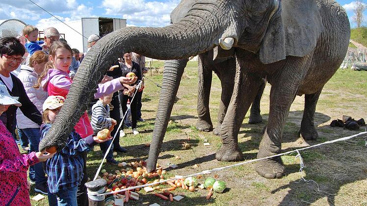 Zirkus Voyage in Bad Kissingen 2016. Foto: Sigismund von Dobschütz