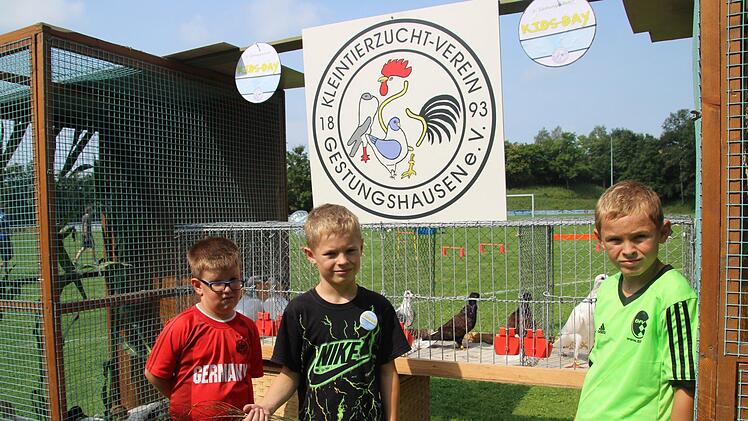 Robert Rauh, Jonas Wöhner und Moritz Wöhner (von links) haben die Federn an der Station des Geflügelzuchtvereins den richtigen Vogelarten zugeordnet. Foto: Cindy Dötschel