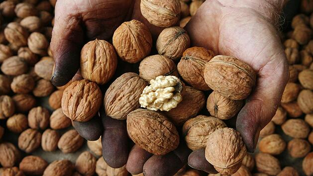 Symbolbild: Ronald Haid/dpa