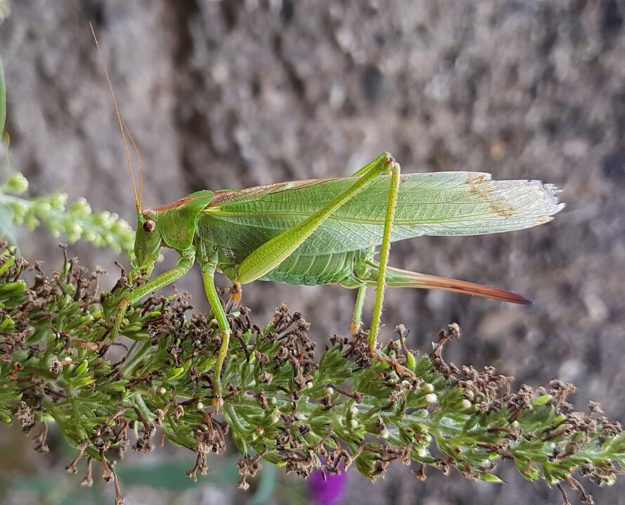 Die schönsten Fotos im August aus Haßfurt und Umgebung