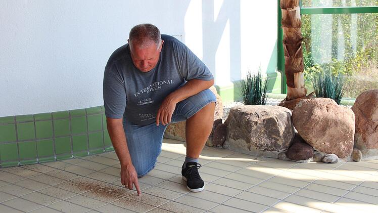 Für Sportzentrum-Chef Hans-Peter Philipp weisen die Holzspäne am Boden auf die Schädlinge in der Decke hin.  Foto: Andreas Diorsch