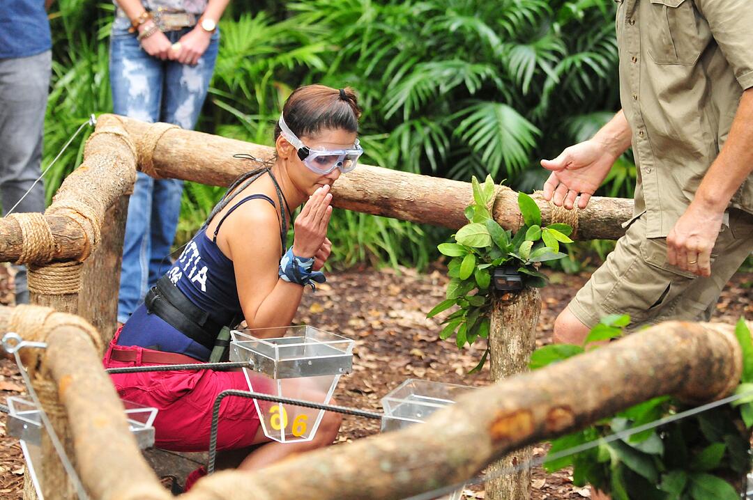 Dschungelcamp 2018: Matthias Mangiapane bekommt im Camp einen Heiratsantrag
