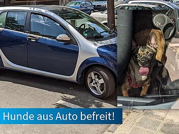 N&uuml;rnberg: Fahrer l&auml;sst Hunde in Hitze-Auto zur&uuml;ck - Tiere aus "Todesfalle" befreit