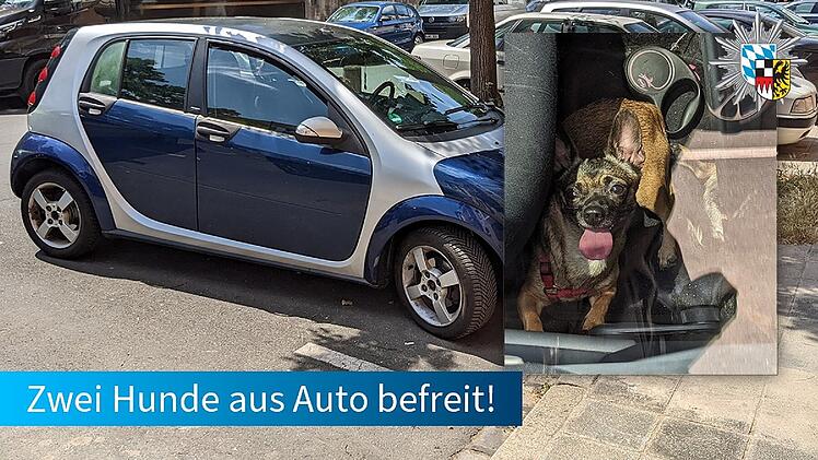 Nürnberg: Fahrer lässt Hunde in Hitze-Auto zurück - Tiere aus "Todesfalle" befreit
