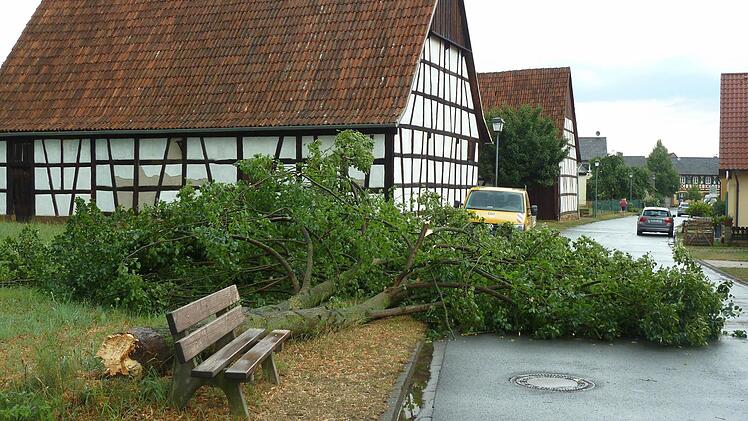 Nicht entwurzelt, sondern einfach abgebrochen: Im südlichen Landkreis Lichtenfels, wie hier in Oberbrunn, richtete die Gewitterfront die schlimmsten Schäden an.Foto: Silke Köhler