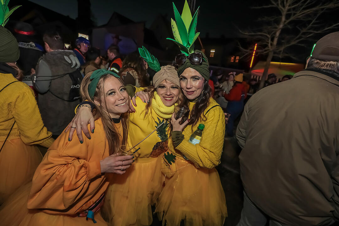Fasching 2025 in Unterfranken!