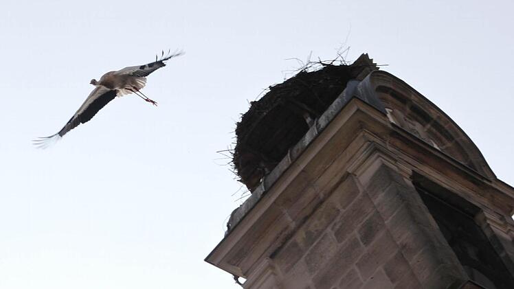 Anflug nach der Reinigungsaktion