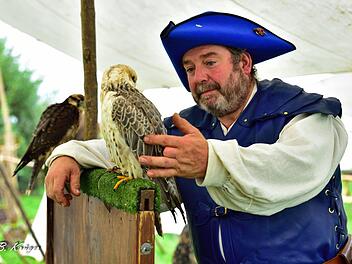 Wunderschöne Greifvögel kann beim Mittelaltermarkt in Ebern aus der Nähe anschauen und sie bei einer Flugshow vom Grauturm bewundern.privat
