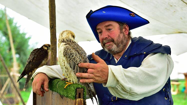 Wunderschöne Greifvögel kann beim Mittelaltermarkt in Ebern aus der Nähe anschauen und sie bei einer Flugshow vom Grauturm bewundern.privat