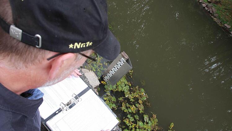 Niedrig aber nicht dramatisch: Mit 1,55 Meter Höhe ist die Saale zehn Zentimeter unter dem Wasserstand der letzten beiden Jahre. Foto: Carmen Schmitt
