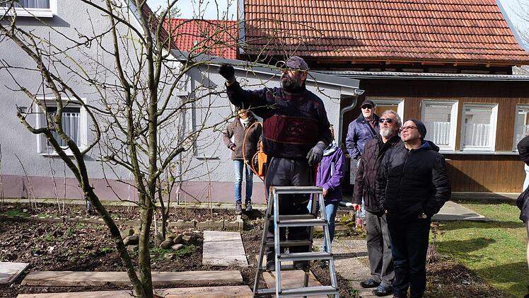 Gottfried Röll von der Landesanstalt für Wein- und Gartenbau Veitshöchheim zeigte, wie ein Baum geschnitten wird. Foto: Philipp Bauernschubert