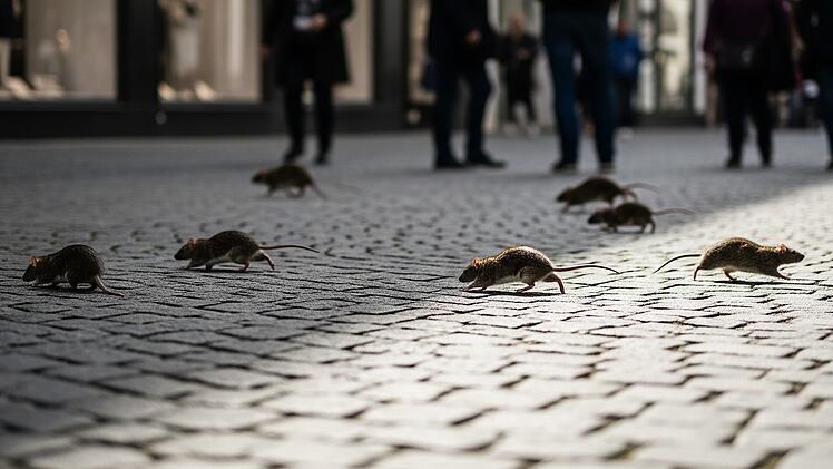 Ratten laufen durch eine deutsche Fußgängerzone