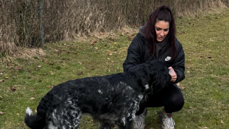 Wirbel um misshandelten Hund aus Kreis Bamberg: So geht es ihm jetzt