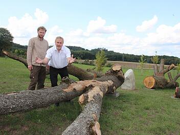 Die Skulptur im Regenbogenwald: Auf den Baumstämmen sollen noch Steinkugeln installiert werden, wie Grünflächenamtschef Bernhard Ledermann (rechts) und Stefan Just zeigen. Die Kugeln sollen dann wirken, als würden sie über dem Holz schweben. Fotos: Ulrike Nauer