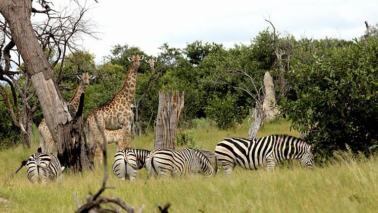 Namibia Foto: Thomas Macholz/dpa