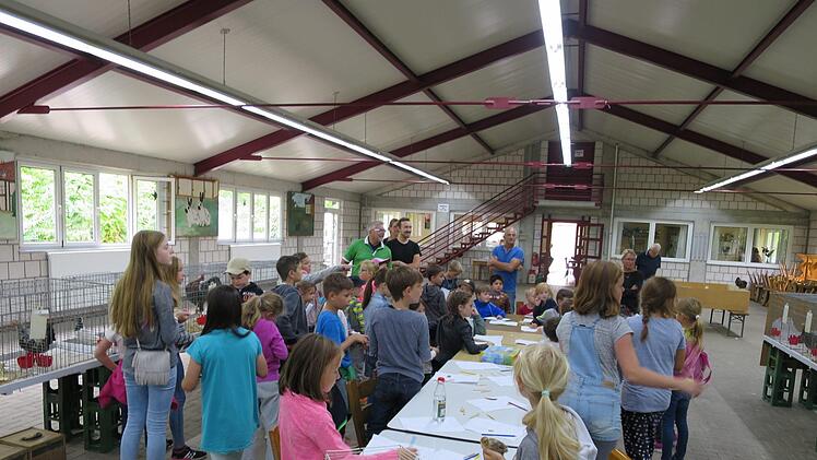 Eindrücke vom Ferienprogramm der Nüdlinger Kleintierzüchter.   Foto: Vanessa Gessner