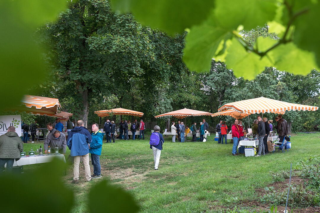 &Ouml;kowein-Pr&auml;sentation