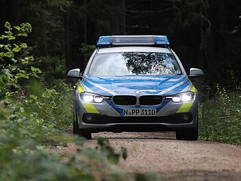 Nach einer Fahndung konnten die Beamten die zwei jungen Männer in einem Waldstück stellen.