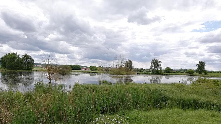 Den Bibersee gibt es seit 2016. Er ist ein Hotspot im Landkreis für die Vogelwelt. Foto: Heike Beudert