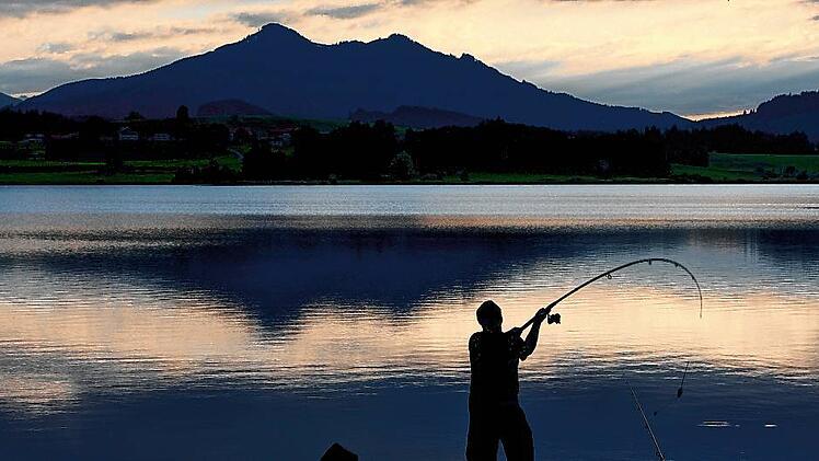 Angler im Sonnenuntergang