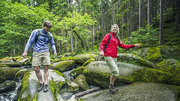 Region: Oberpf&auml;lzer Wald Landkreis: Tirschenreuth Themen: Sport & Aktiv - Wandern Beschreibung Wanderer im Waldnaabtal am Goldsteig Tags Oberpf&auml;lzer Wald, Wandern/Wanderer, Goldsteig, Landkreis Tirschenreuth, Waldnaabtal