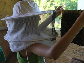 Schon in jungen Jahren kümmert sich Katie im Imkerverein Forchheim um Bienen.  Foto: Franz Galster