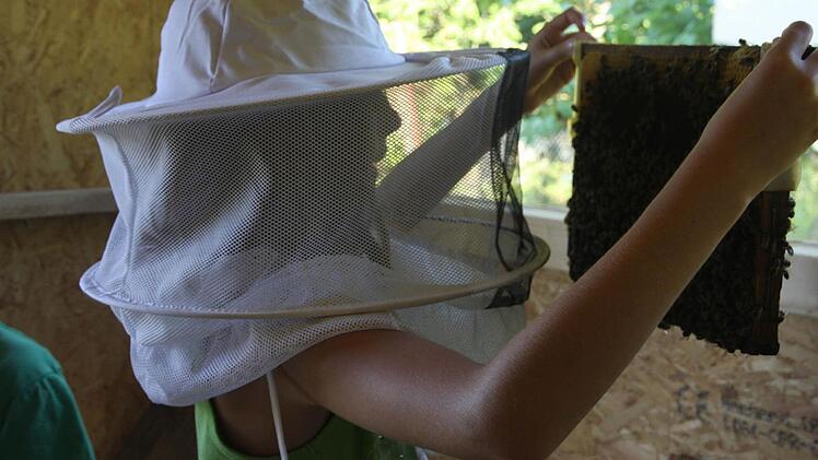 Schon in jungen Jahren kümmert sich Katie im Imkerverein Forchheim um Bienen.  Foto: Franz Galster