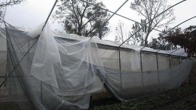 Der Taifun "Nina" hat Klostergebäude und Gewächshäuser zerstört. Foto: privat
