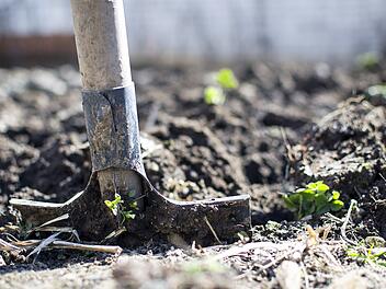 Haustiere im Garten bestatten?