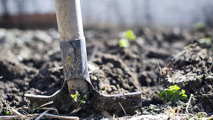 Haustiere im Garten bestatten?