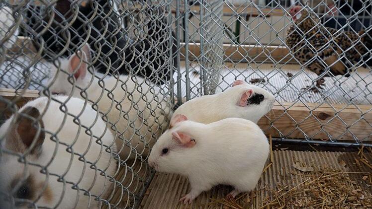 Foto: Richard Sänger