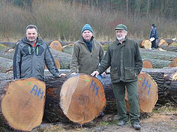 Drei Herren und eine "Braut". Wolfgang Schultheiß, Manfred Herter und Günter Grosch präsentieren den Stamm der Submission, der den besten Festmeterpreis erzielt hat. Foto: Rainer Lutz
