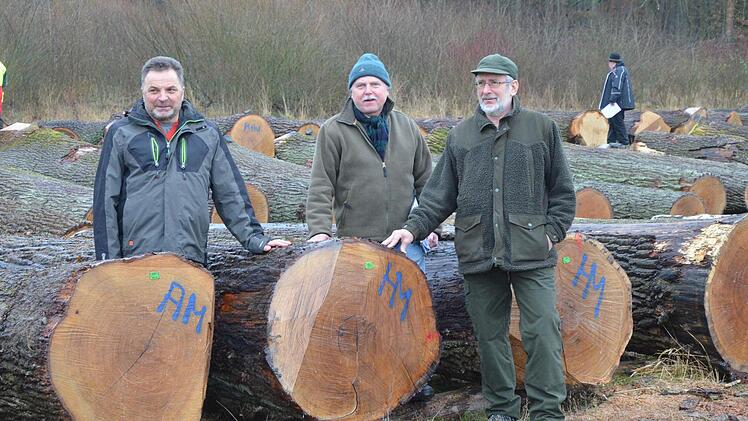 Drei Herren und eine "Braut". Wolfgang Schultheiß, Manfred Herter und Günter Grosch präsentieren den Stamm der Submission, der den besten Festmeterpreis erzielt hat. Foto: Rainer Lutz