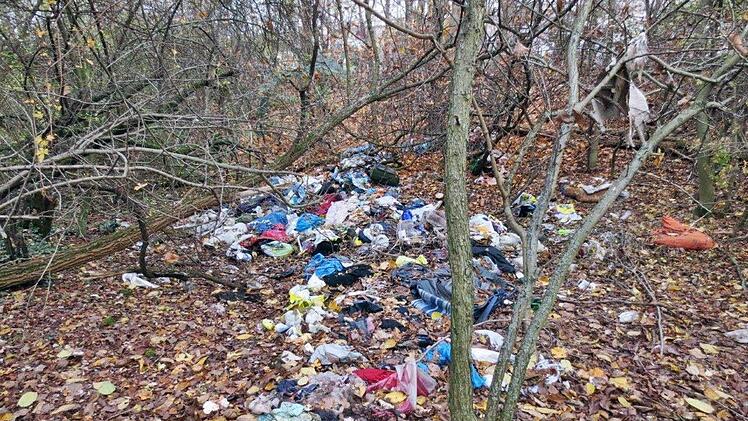 Auf solche Hinterlassenschaften legt niemand Wert. Foto: Stadt Nürnberg/SÖR