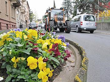 Die Pflanzkübel in der Schönbornstraße verengen seit Jahren die Fahrbahn in Richtung Stadt. Foto: Ralf Ruppert