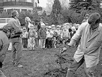 In Steinach wurde die Kastanie der deutschen Einheit gepflanzt. Foto: privat