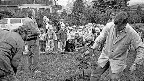 In Steinach wurde die Kastanie der deutschen Einheit gepflanzt. Foto: privat