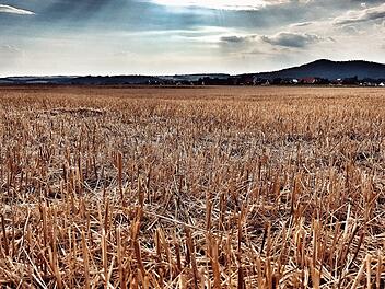 Die meisten Getreidefelder sind schon abgeerntet. Der heiße Sommer ließ das Korn auf dem Feld schneller reifen. Foto: Tobias Kindermann