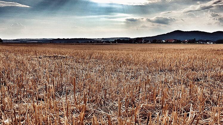 Die meisten Getreidefelder sind schon abgeerntet. Der heiße Sommer ließ das Korn auf dem Feld schneller reifen. Foto: Tobias Kindermann