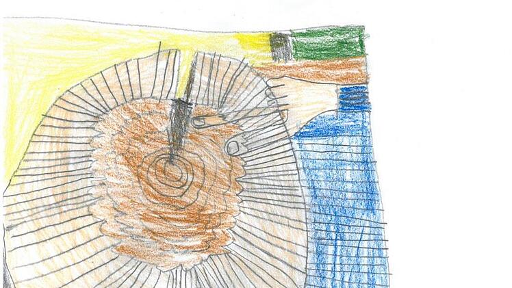 Jahresringe in Baumstämmen oder Balken geben dem Fachmann Aufschluss, wie alt das Holz ist. Diese Eichenscheibe wurde zur Entnahme einer Probe angebohrt, wie links unten zu erkennen ist.  gemalt von Ömer-Faruk