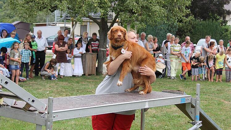 Vorführungen der Rettungshundestaffel.