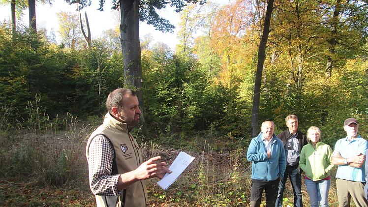 Revierförster Rainer Bräunig erklärt warum die Hälfte des Buchenaltbestands entnommen werden musste. Foto: Winfried Ehling