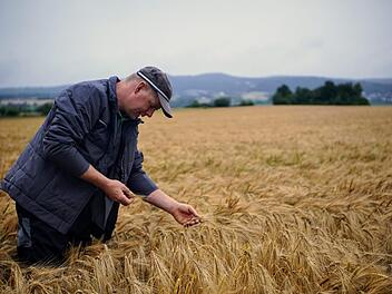 Was nach dem Frühling übrig bleibt... Klaus Siegelin zeigt den Unterschied zwischen Ähre und Ähre - einmal mit Korn, einmal ohne. Foto: Bastian Sünkel