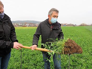 Toni Körber (links) und Anton Weig schauen sich die Wurzeln der Zwischenfrucht Klee genau an.Monika Schütz