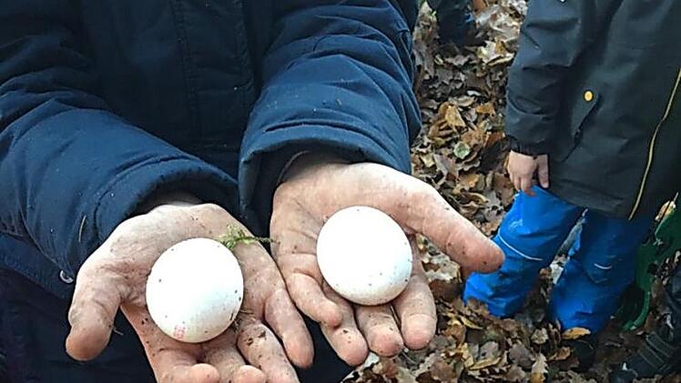 Alle rohen Eier blieben heil.   Foto: Privat