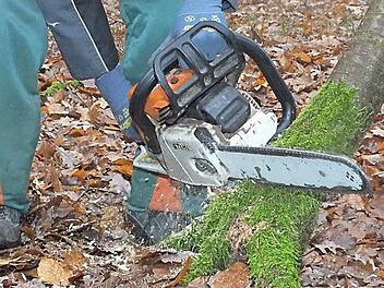 In diesem Jahr stehen wieder verschiedene Waldarbeiten an. Foto: Björn Hein