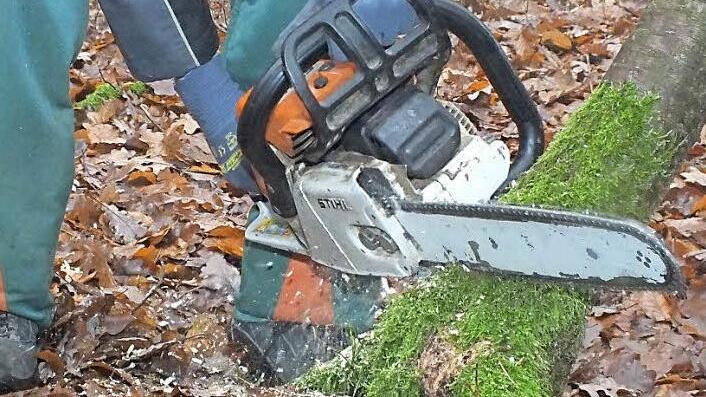In diesem Jahr stehen wieder verschiedene Waldarbeiten an. Foto: Björn Hein